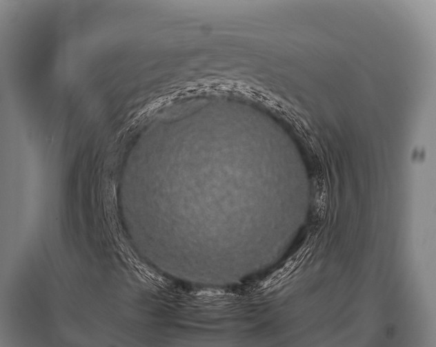 X0000095951489200801181411