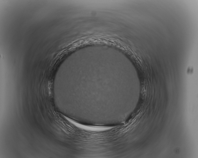X0000095951490200801181411