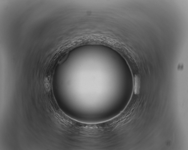 X0000095951491200801181411