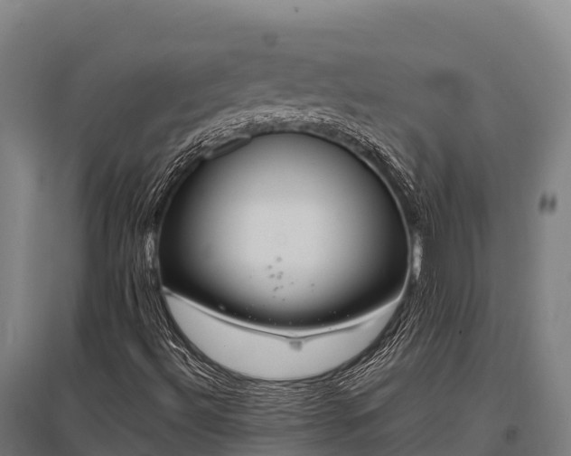 X0000095951492200801181411