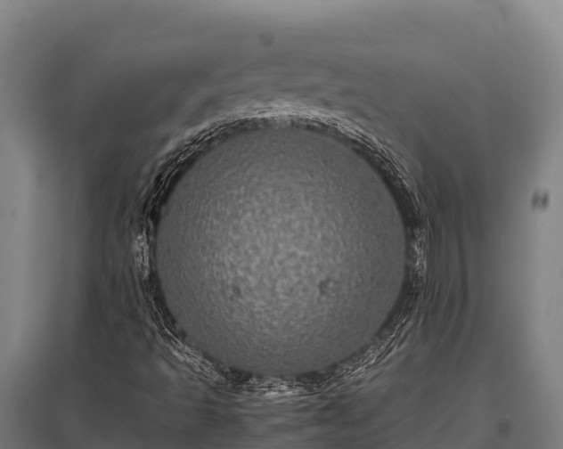 X0000095951493200801181411