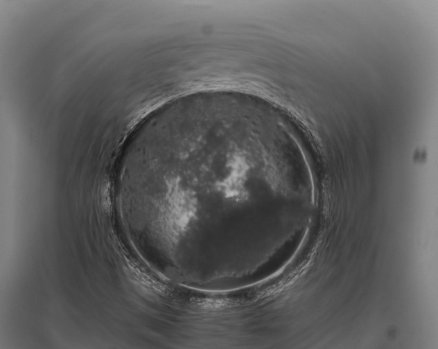 X0000095951497200801181411