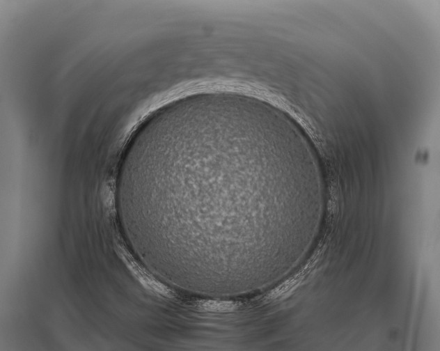 X0000095951499200801181411