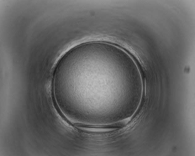 X0000095951500200801181411