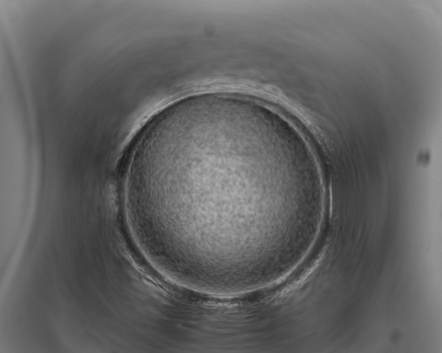 X0000095951501200801181411
