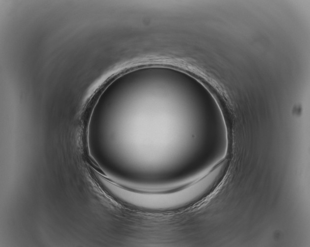 X0000095951502200801181411