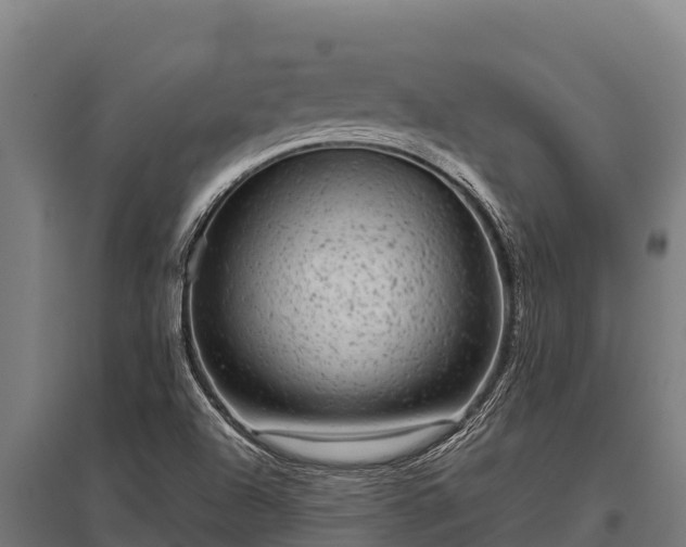 X0000095951504200801181411