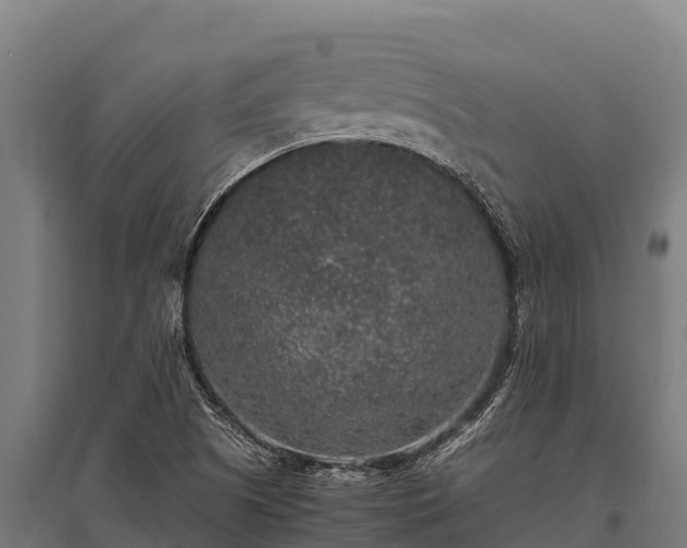 X0000095951505200801181411
