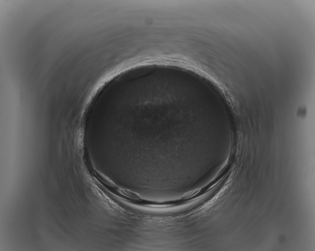 X0000095951506200801181411