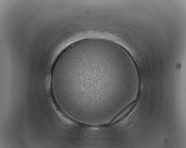 X0000095951507200801181411