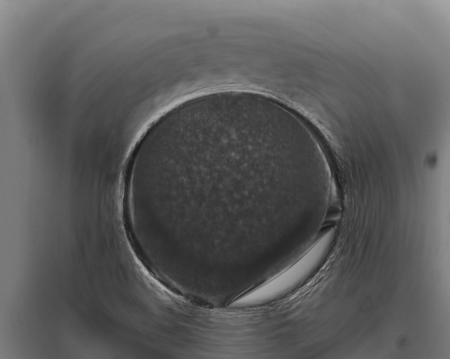 X0000095951508200801181411