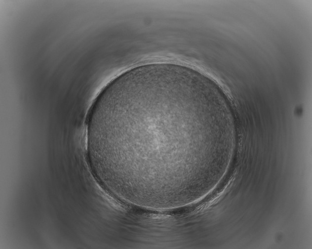 X0000095951509200801181411