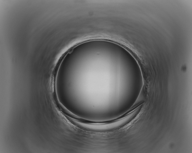 X0000095951510200801181411