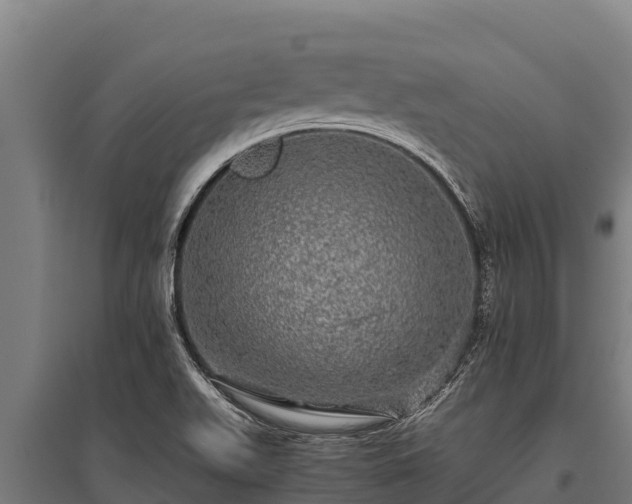 X0000095951511200801181411