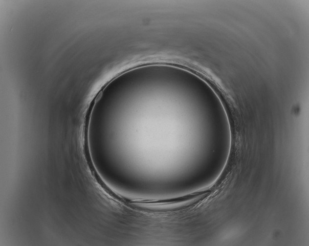 X0000095951512200801181411