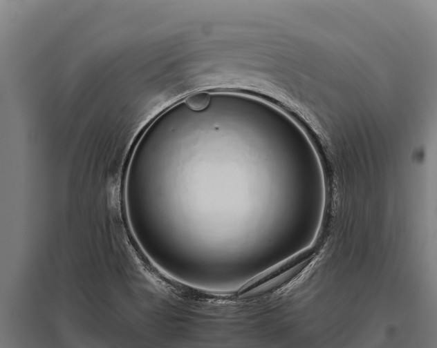 X0000095951513200801181411