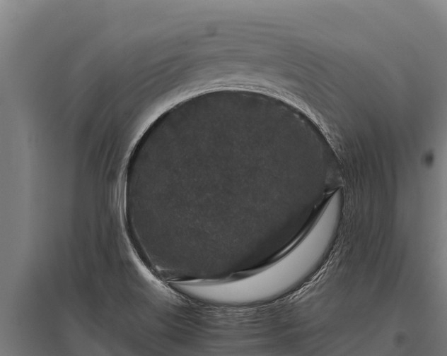 X0000095951515200801181411
