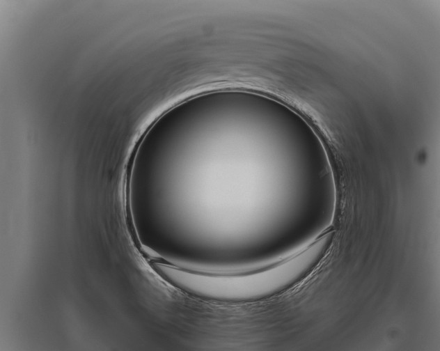 X0000095951516200801181411