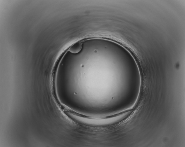 X0000095951517200801181411