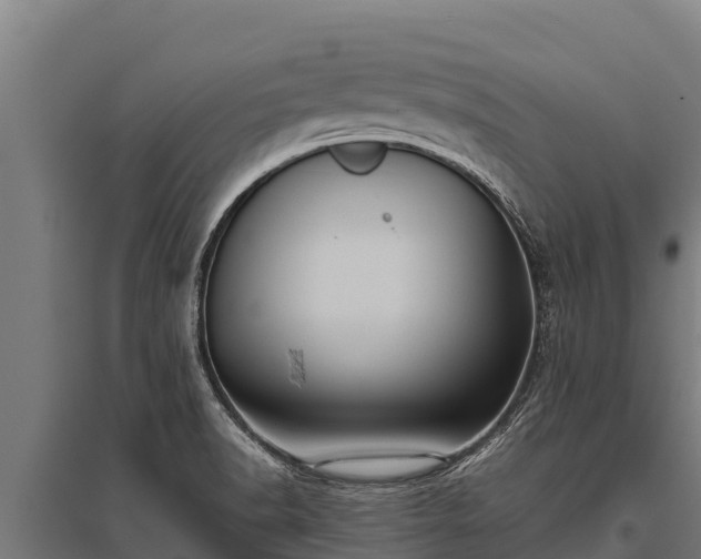 X0000095951518200801181411