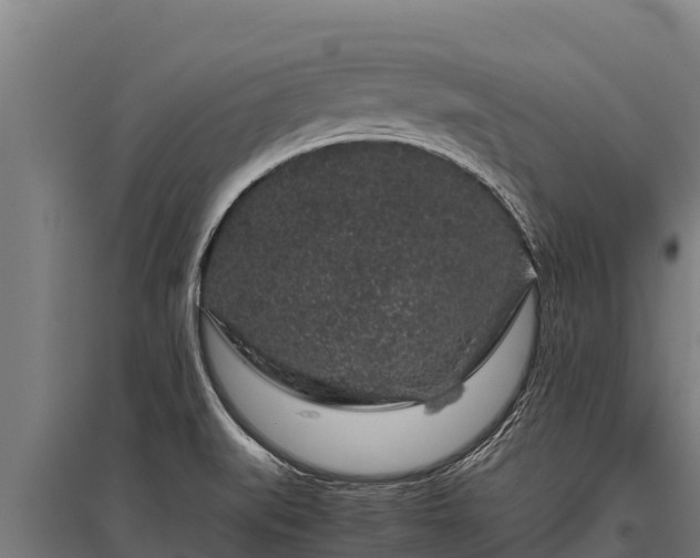 X0000095951519200801181411