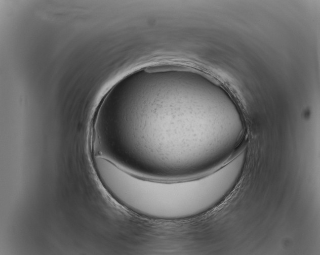 X0000095951520200801181411