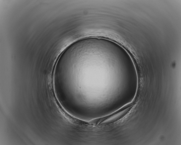 X0000095951521200801181411
