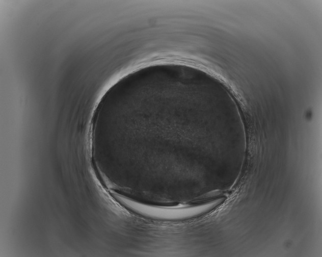 X0000095951522200801181411