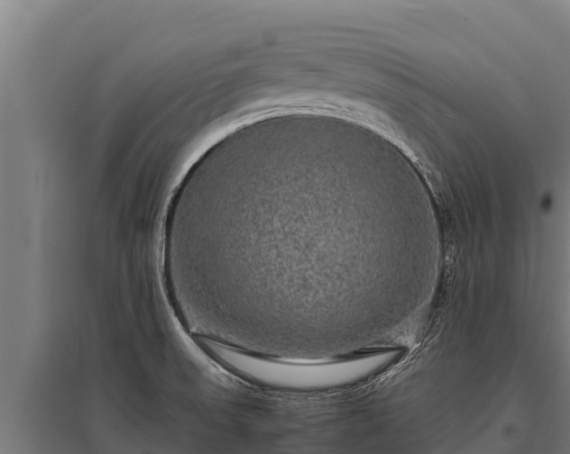 X0000095951523200801181411