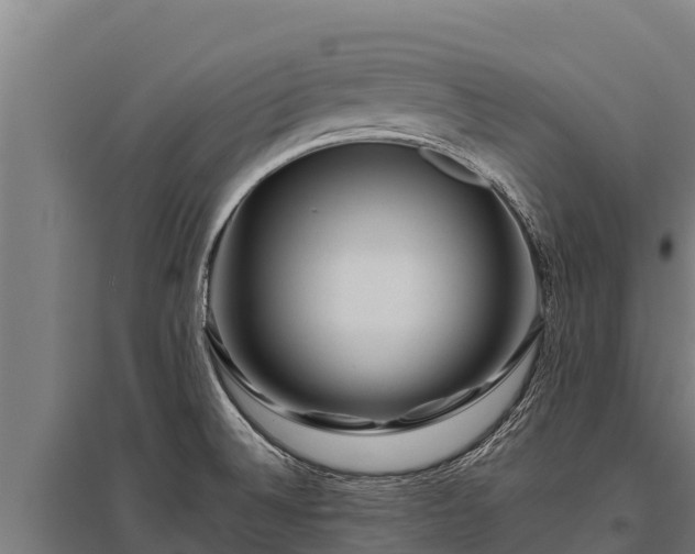 X0000095951524200801181411