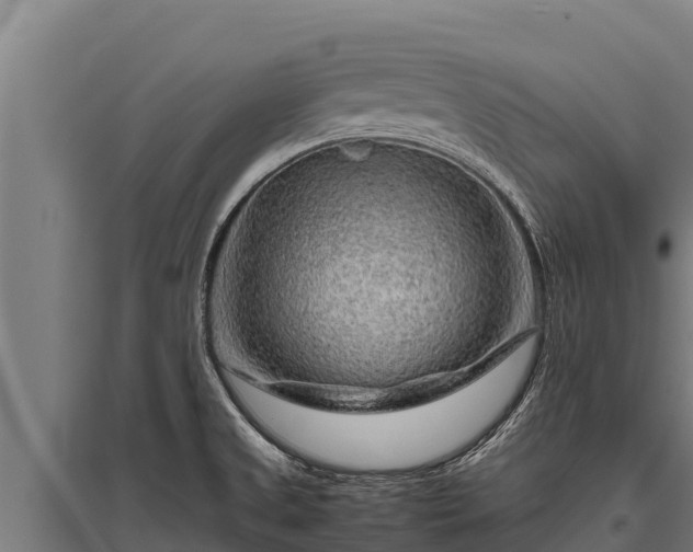 X0000095951525200801181411