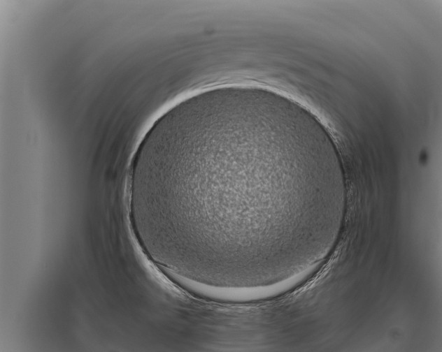 X0000095951526200801181411