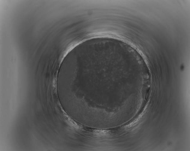 X0000095951529200801181411