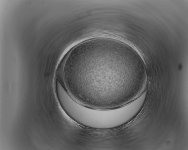 X0000095951531200801181411