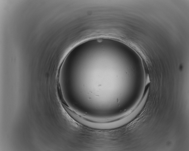 X0000095951532200801181411