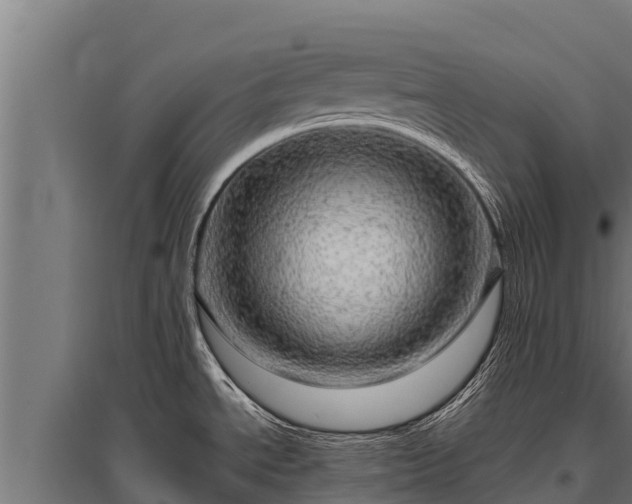 X0000095951534200801181411