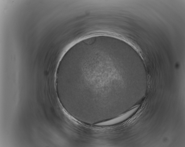 X0000095951535200801181411