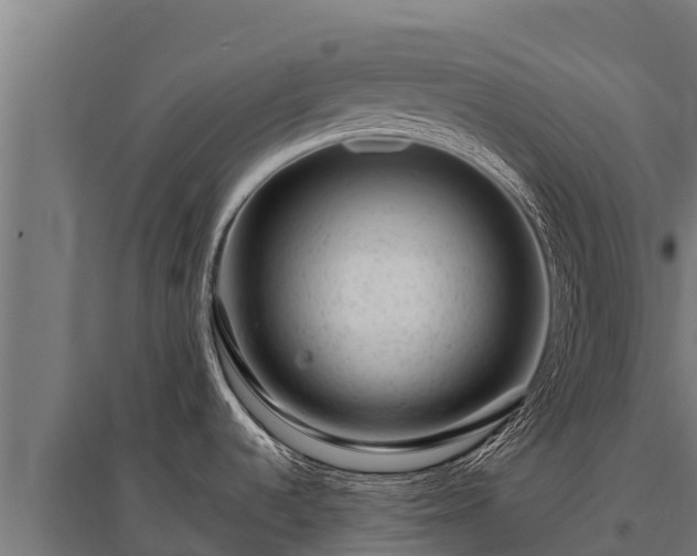 X0000095951536200801181412
