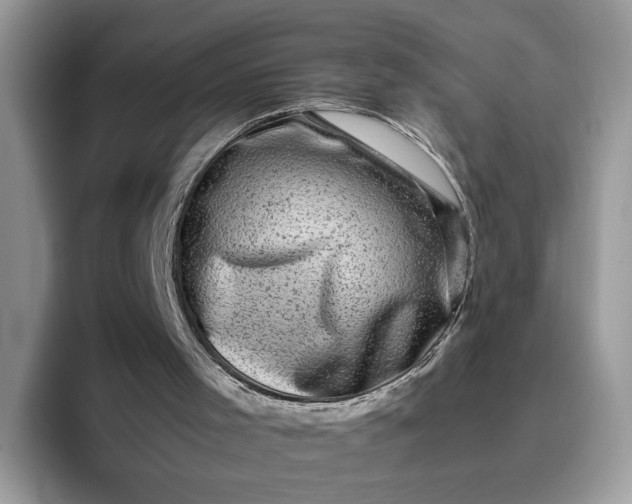 X0000095950001200801251139