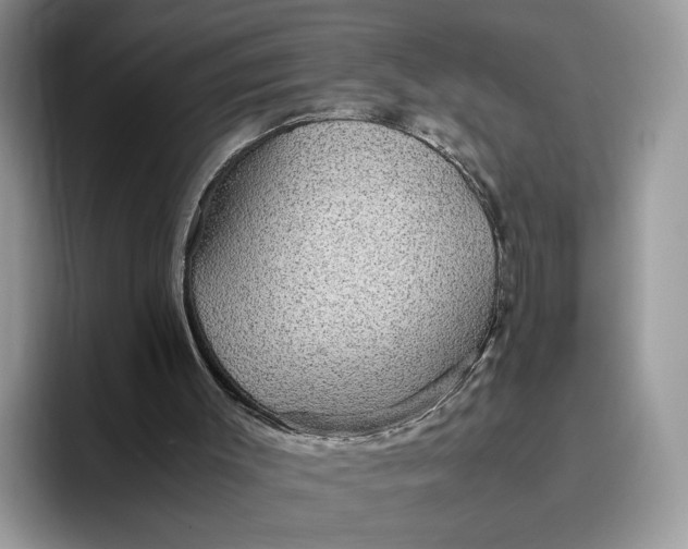 X0000095950003200801251139