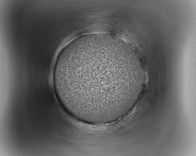 X0000095950004200801251139