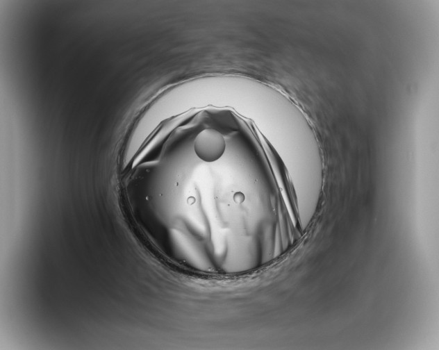 X0000095950005200801251139