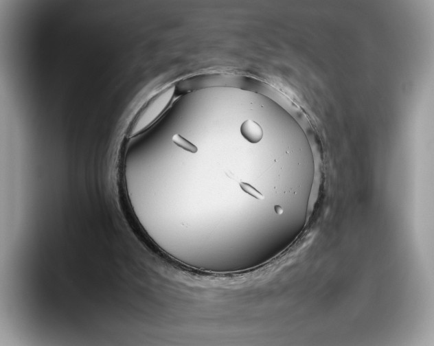 X0000095950007200801251139