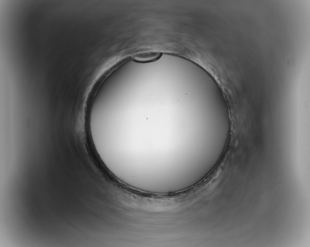 X0000095950008200801251139