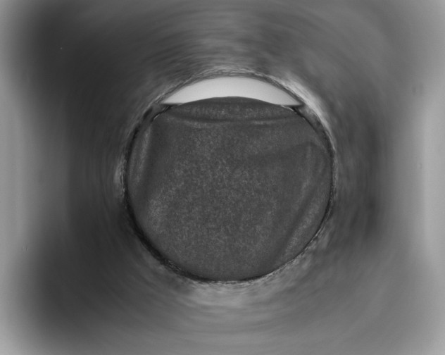 X0000095950009200801251139