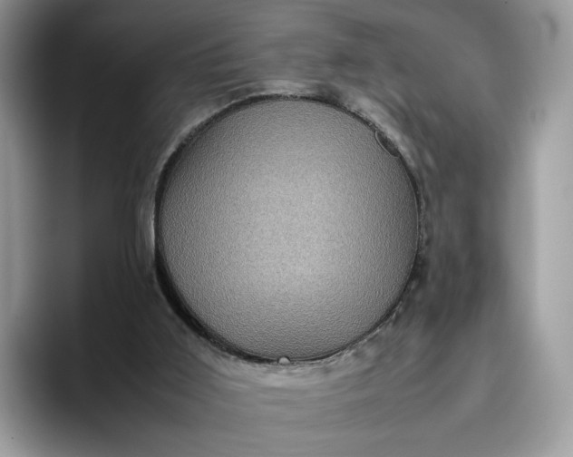 X0000095950011200801251139