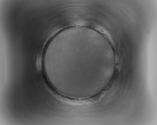 X0000095950012200801251139