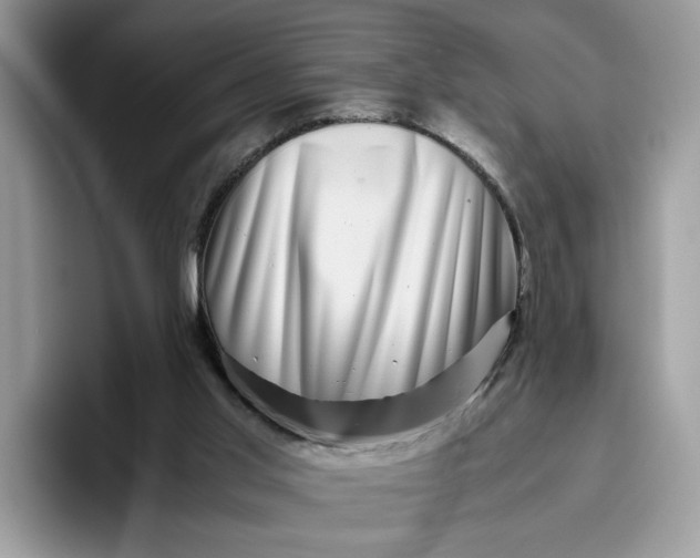 X0000095950013200801251139