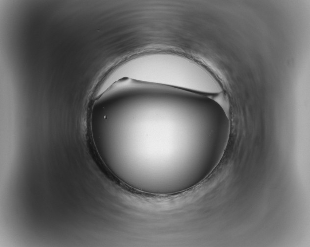 X0000095950015200801251139