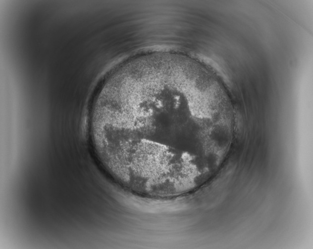 X0000095950016200801251139